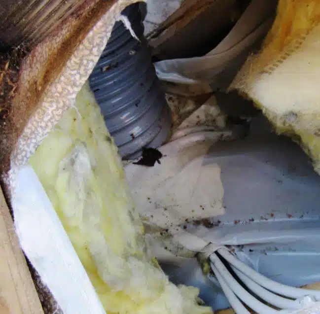 Luftdichtigkeits- und Dämmebene eines Steildaches: Schädlingsbefall aufgrund von Konvektionsöffnungen und des behinderten Wasserablaufs am Unterdach